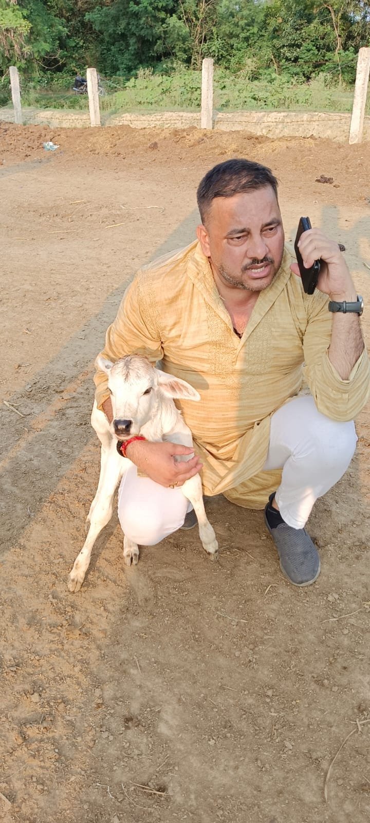 Gau Mata Seva