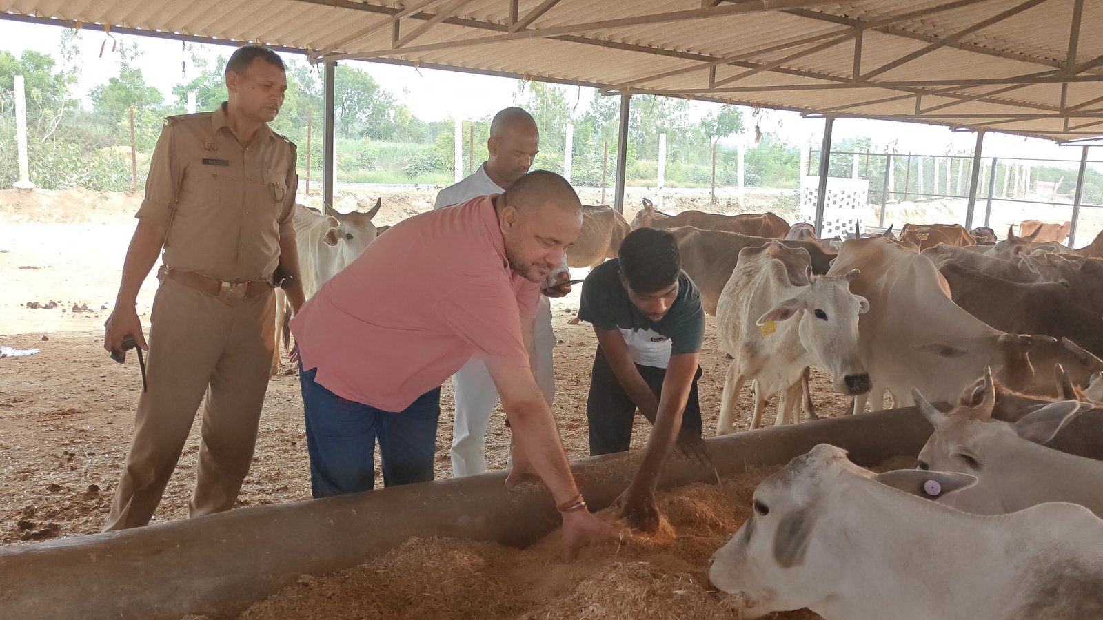 Gau Mata Welfare